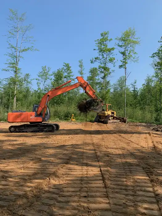Orange excavator on a sandy cleared pad with young birch behind