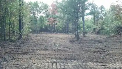Clearing Logged Land for a Camp or Deer Plots
