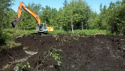 Topsoil stripped back on a cleared opening