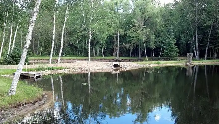 Finished pond edged with birch