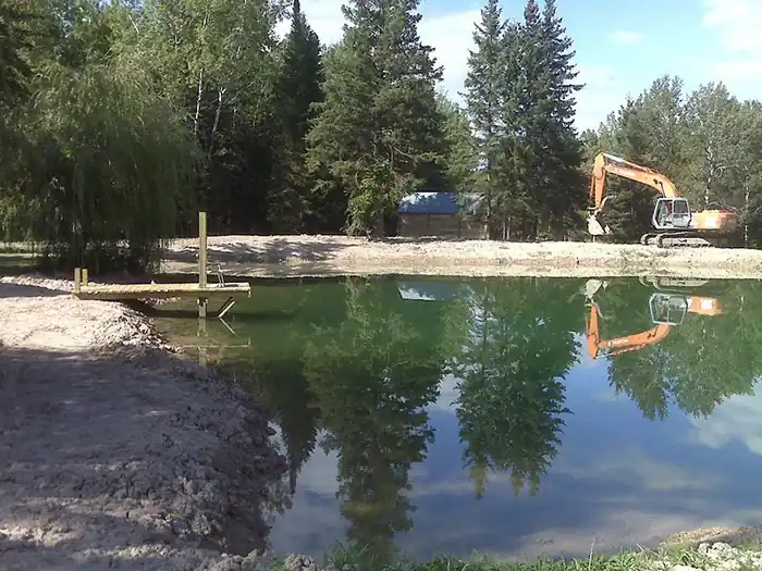 Finished pond with a willow on the far bank