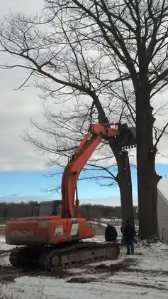 Stump and roots pulled in the snow